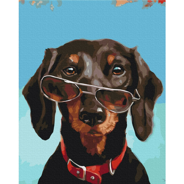 Картина по номерам Тварини, птахи та риби - Пан Pancho ©Lucia Heffernan