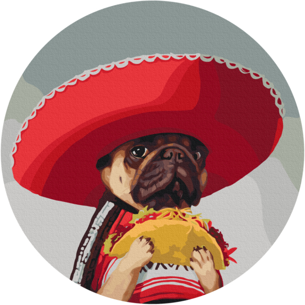 40 см - Тако для Амиго ©Lucia Heffernan (Размер L)