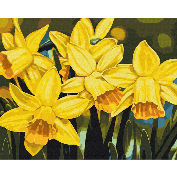 Картина по номерам Квіти - Daffodils © Anastasiia Osmolovska