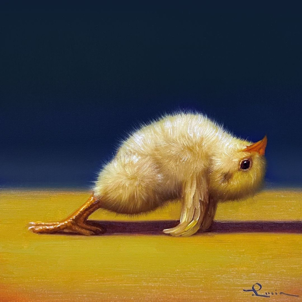 Люсія Хеффернан - Йога курочка планка в гору ©Lucia Heffernan