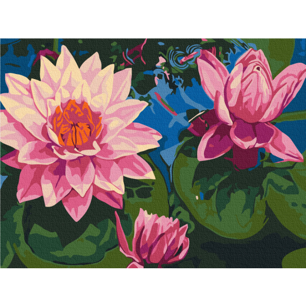 Картина по номерам Квіти - Водяне латаття