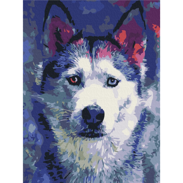 Картина по номерам Тварини, птахи та риби - Погляд Хаскі