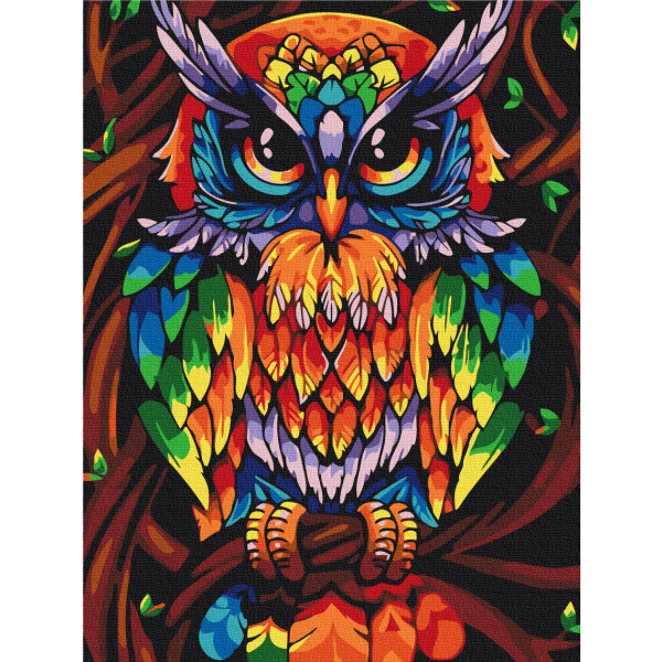 Картина по номерам Тварини, птахи та риби - Веселкова мудра сова