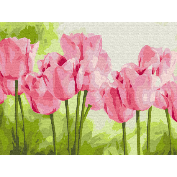 Картина по номерам Квіти - Ніжні тюльпани