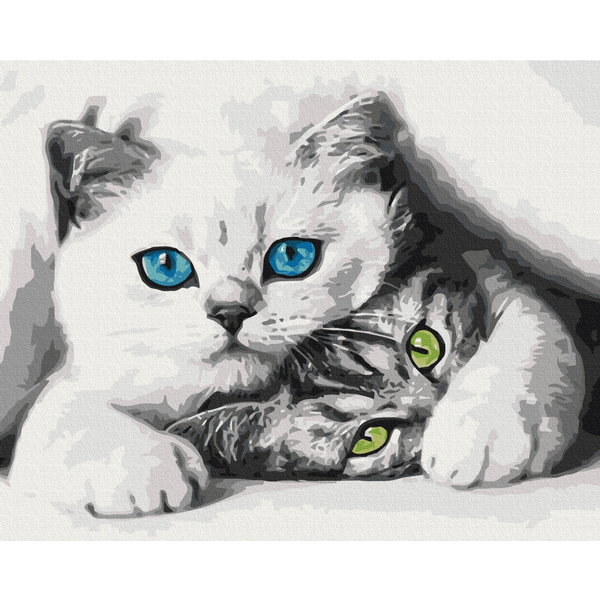 Картина по номерам Преміум картини - Муркотики