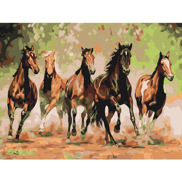 Картина по номерам Преміум картини - Табун коней