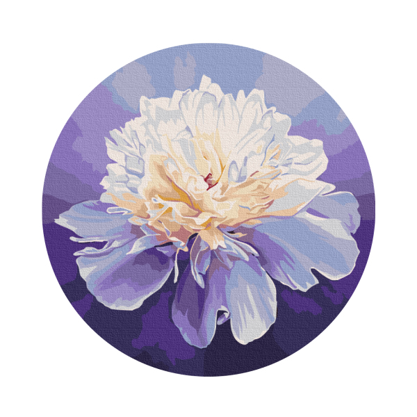 30 см - Нежный пион © Anna Steshenko