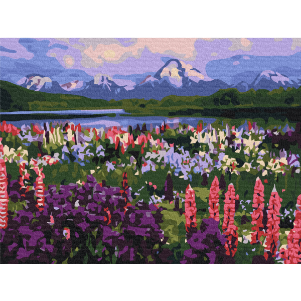 Картина по номерам Преміум картини - Долина польових квітів