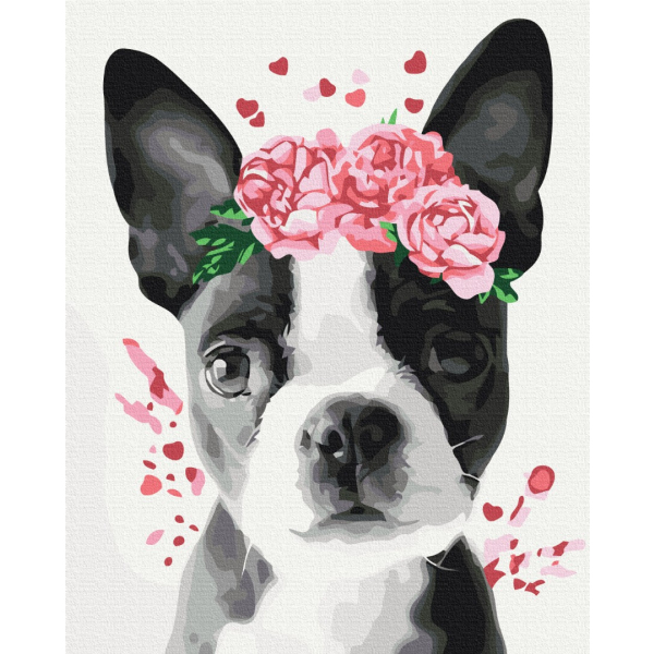 Картина по номерам Тварини, птахи та риби - Бостон тер'єр у віночку