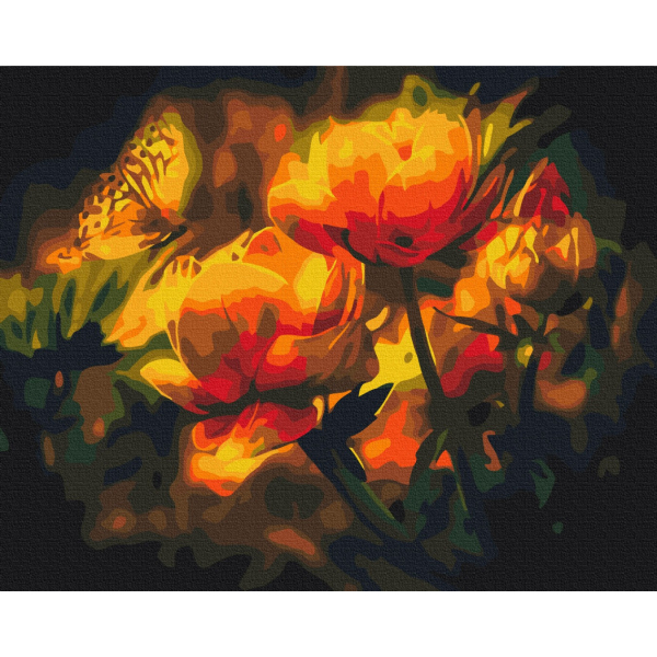 Картина по номерам Квіти - Квітковий контраст