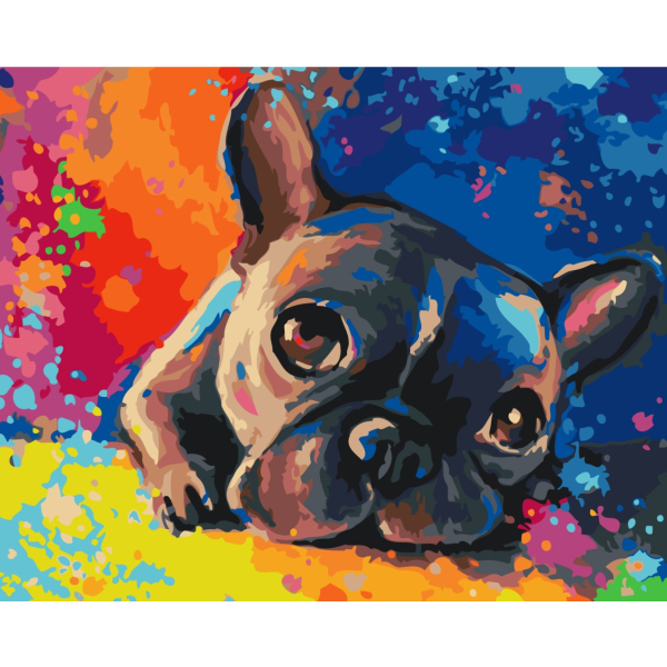 Картина по номерам Тварини, птахи та риби - Цветной бульдог