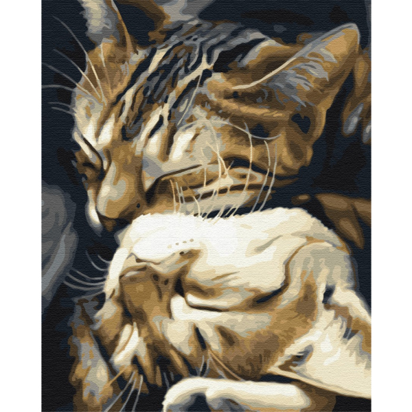 Картина по номерам Тварини, птахи та риби - Сплячі котики