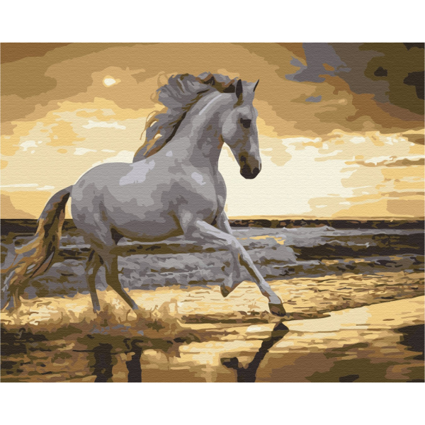 Картина по номерам Тварини, птахи та риби - Біг риссю на узбережжі