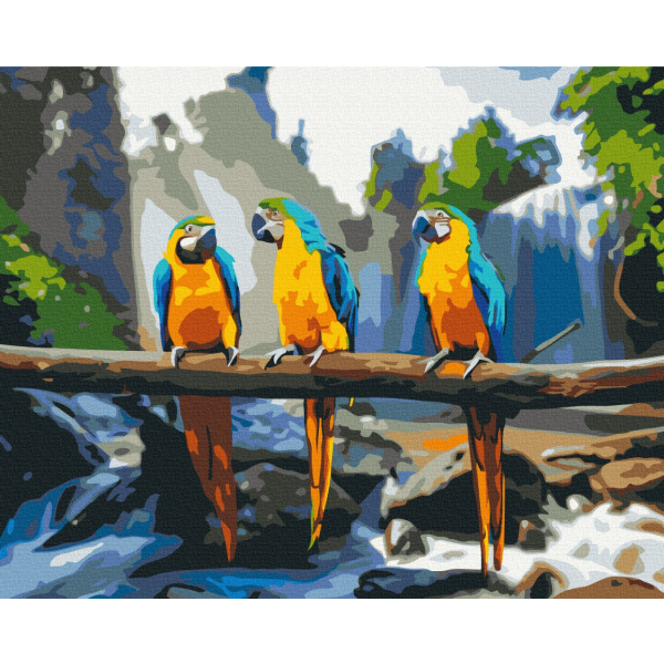 Картина по номерам Тварини, птахи та риби - Tropical macaw
