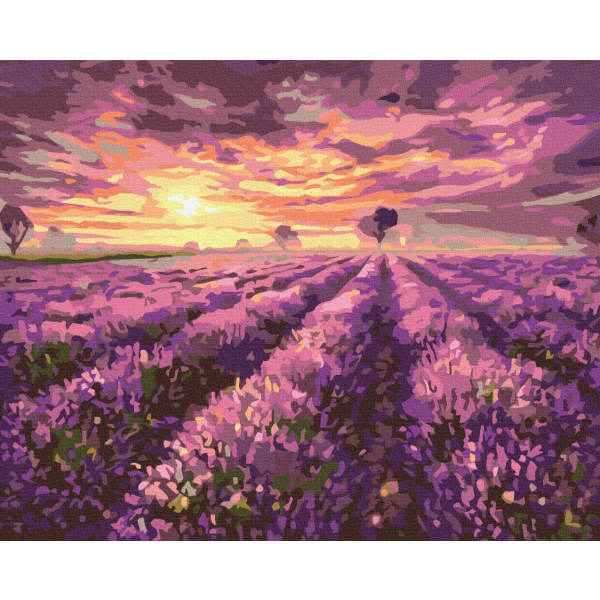 Картина по номерам Пейзажі - Лавандовый закат