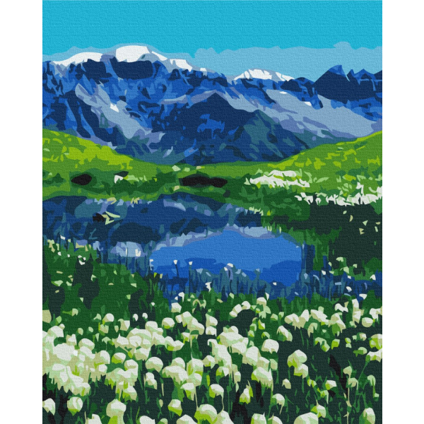 Картина по номерам Природа - Альпийские луга
