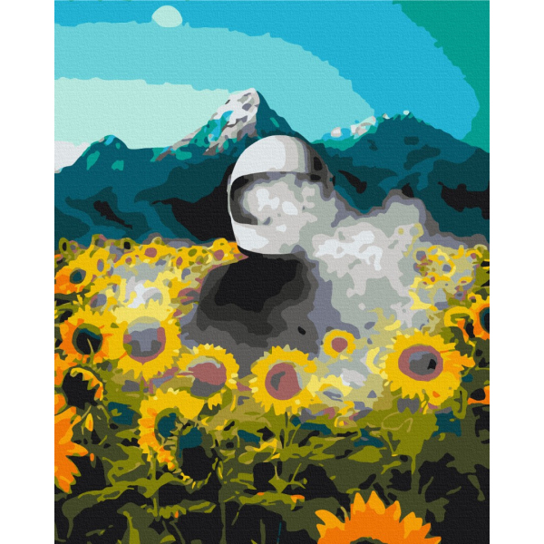 Картина по номерам Космос - Космічна земля