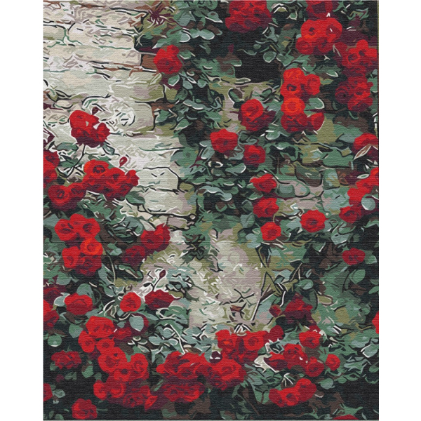 Картина по номерам Квіти - Квіти біля будинку