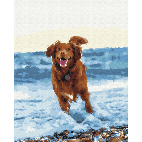 Картина по номерам Тварини, птахи та риби - Собачка в морі