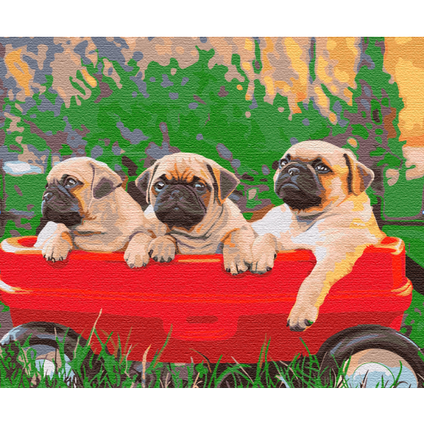 Картина по номерам Тварини, птахи та риби - Мопси