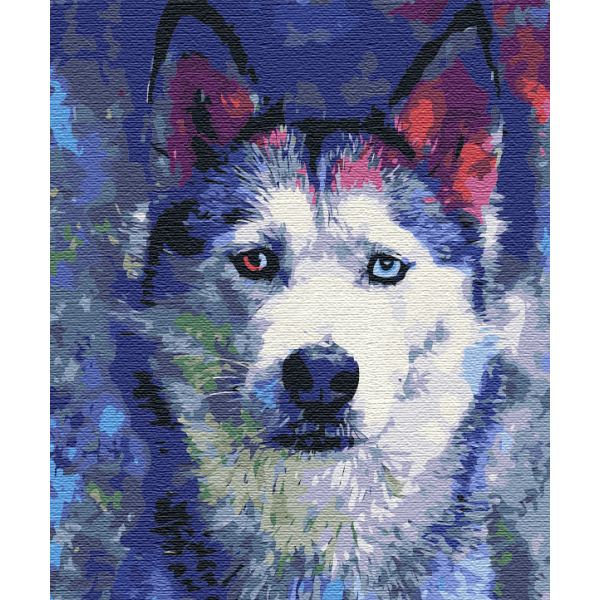 Картина по номерам Тварини, птахи та риби - Погляд Хаскі