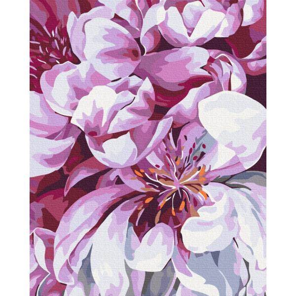 Картина по номерам Квіти - Цвіт у макро зйомці