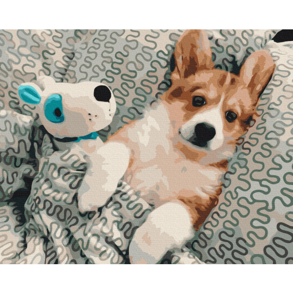 Картина по номерам Тварини, птахи та риби - В сон з улюбленцем