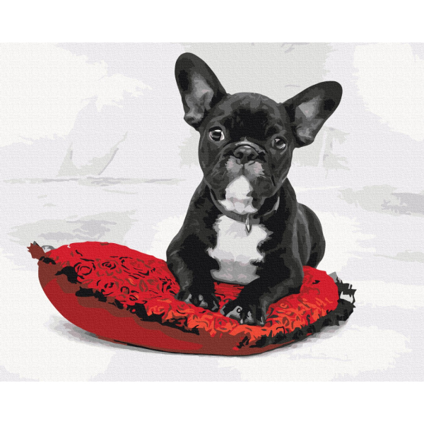 Картина по номерам Тварини, птахи та риби - Моя любимая собака