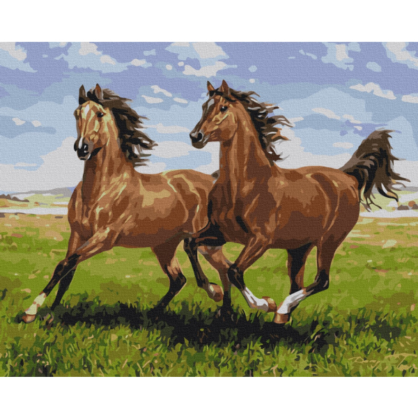 Картина по номерам Тварини, птахи та риби - Скакуни на пробіжці