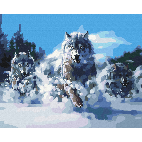 Картина по номерам Тварини, птахи та риби - Волки в движении