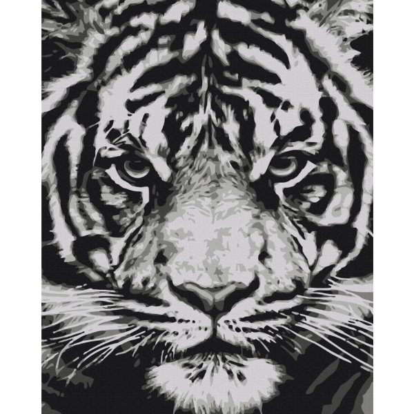 Картина по номерам Тварини, птахи та риби - Погляд звіра