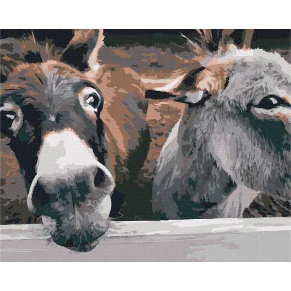 Картина по номерам Тварини, птахи та риби - Віслючки на ранчо