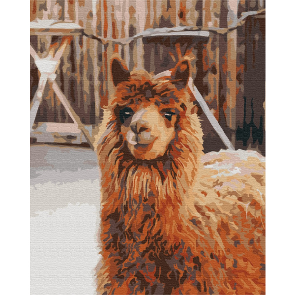 Картина по номерам Тварини, птахи та риби - Лама на фермі