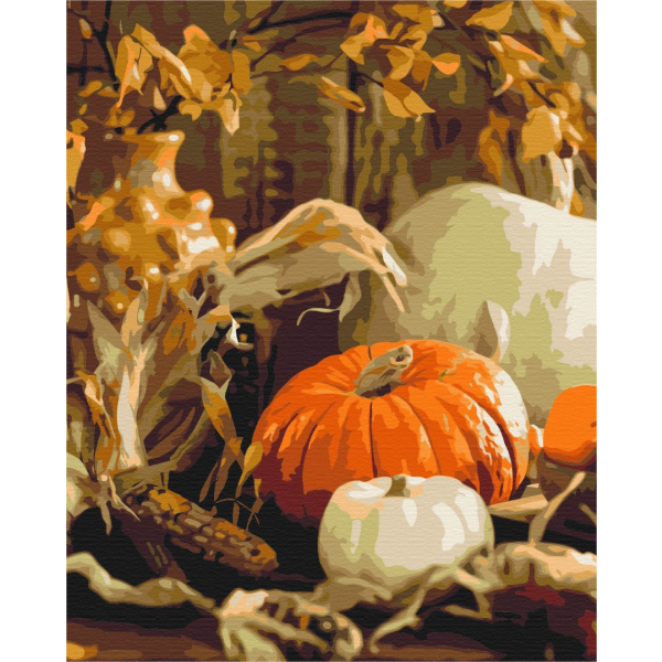 Картина по номерам Натюрморти - Гарбузовий натюрморт