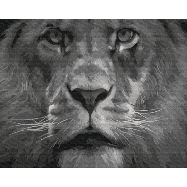 Картина по номерам Тварини, птахи та риби - Лев в черно-белых тонах