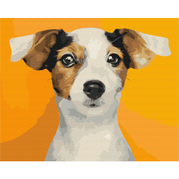 Картина по номерам Тварини, птахи та риби - Портрет улюбленого песика