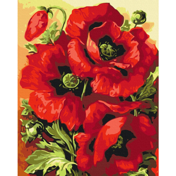 Картина по номерам Квіти - Печать в маках
