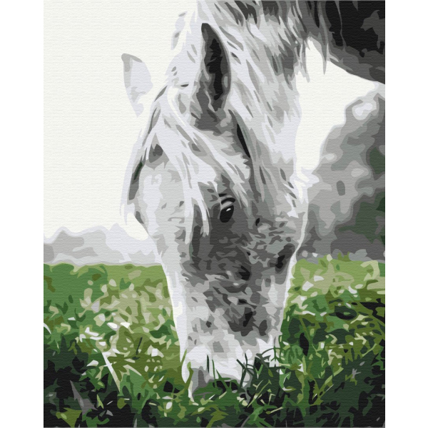 Картина по номерам Тварини, птахи та риби - Cіра конячка