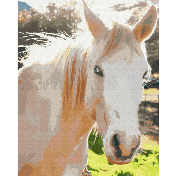 Картина по номерам Тварини, птахи та риби - Белая лошадь