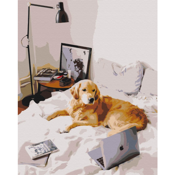 Картина по номерам Тварини, птахи та риби - Домашний офис