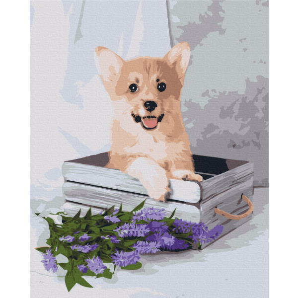 Картина по номерам Тварини, птахи та риби - Грайливий коргі