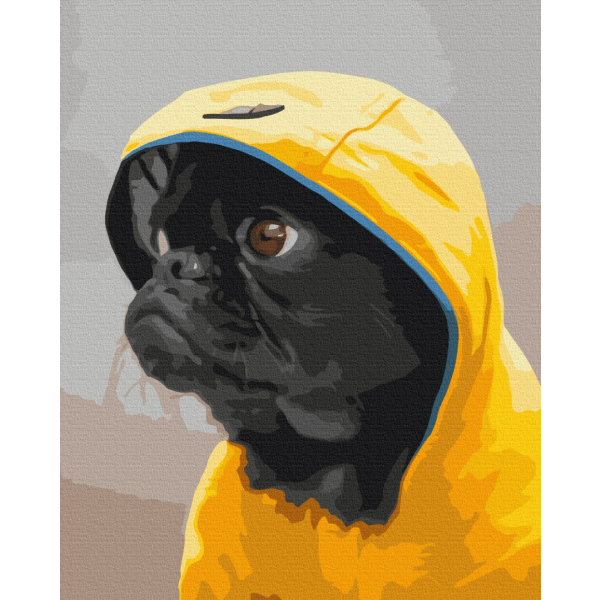 Картина по номерам Тварини, птахи та риби - Мопс в худі