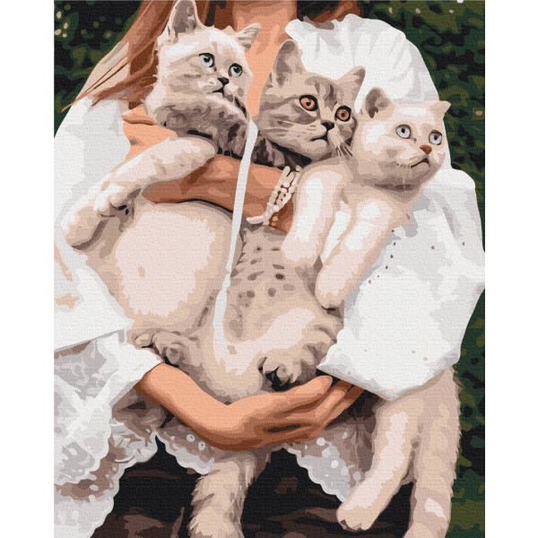 Картина по номерам Тварини, птахи та риби - Улюблені муркотики