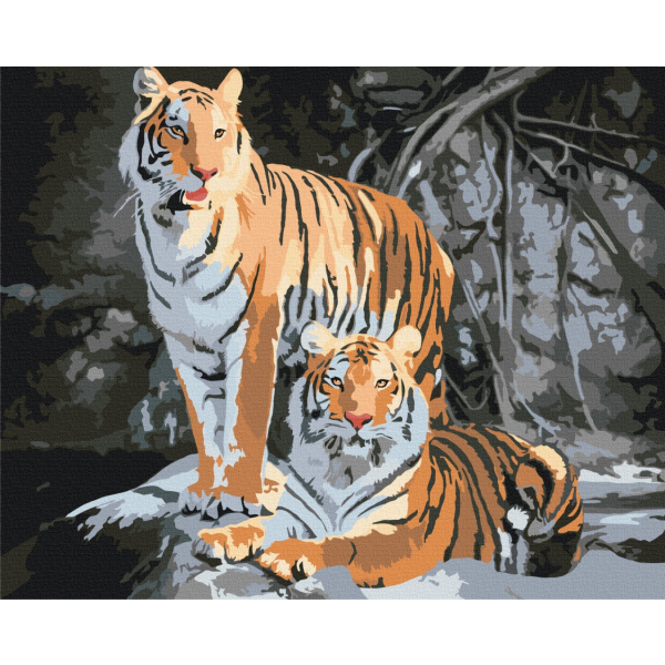 Картина по номерам Тварини, птахи та риби - Дикие тигры