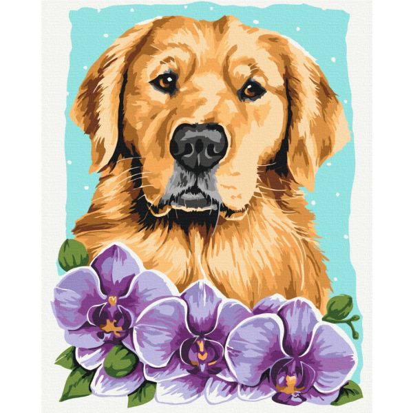 Картина по номерам Тварини, птахи та риби - Golden retriever © Anna Kulyk