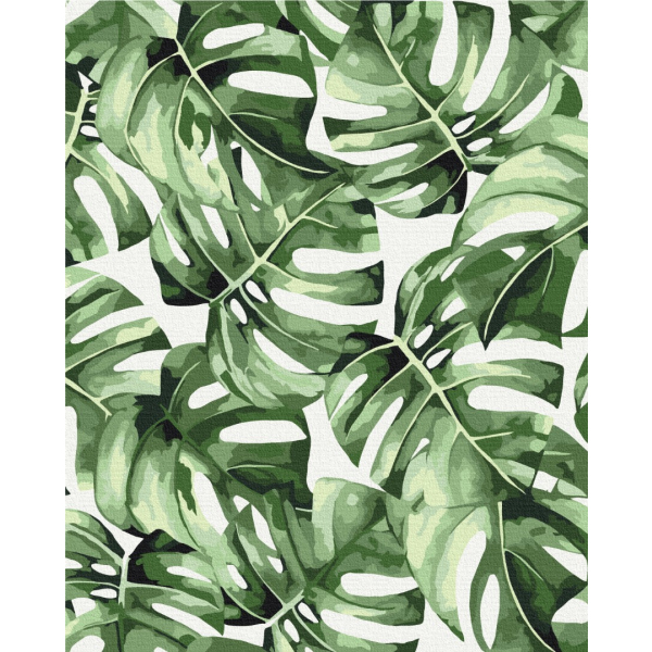 Картина по номерам Квіти - Екзотична монстера