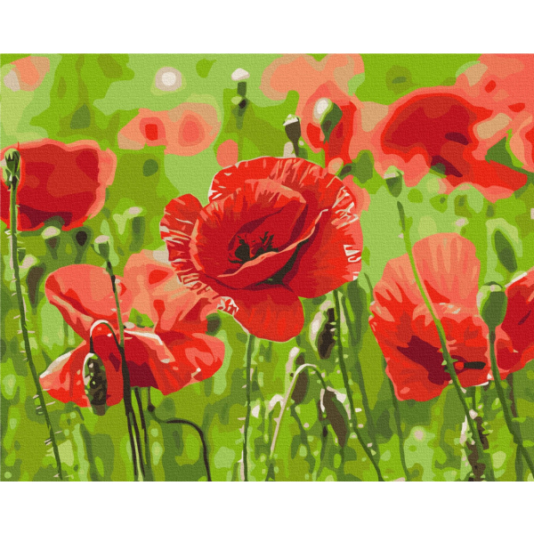 Картина по номерам Квіти - Червоні маки