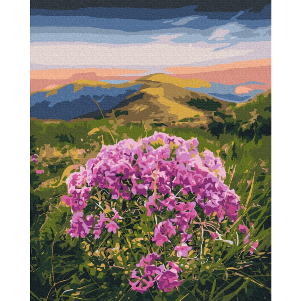 Картина по номерам Природа - Цвітіння Карпат © Roksolana Baran