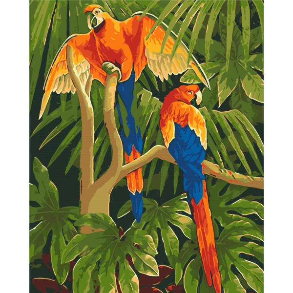 Картина по номерам Тварини, птахи та риби - Тропічні птахи
