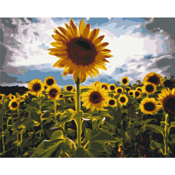 Картина по номерам Пейзажі - Вуличка у квітах